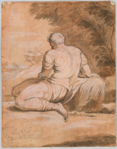 Drawing study: Narcissus (?) by Unknown artist
