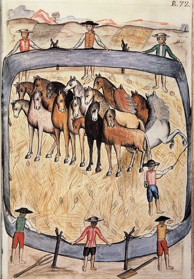 Dressage of Wild Horses, from the Book 