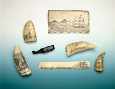 Engraved Sperm Whale
