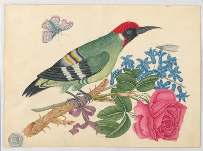 European Green Woodpecker on Branch with Rose and Forget-Me-Nots by Unknown artist
