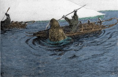 Fridtjof Nansen (1861-1930), Norwegian explorer, attacked by a walrus during the expedition of the North Pole in 1896. He