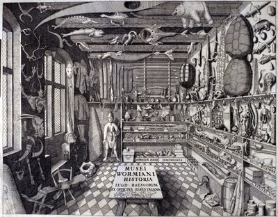 Frontispiece of “Musei Wormiani Historia” showing the interior of the cabinet of curiosities of Ole Worm by Unknown artist