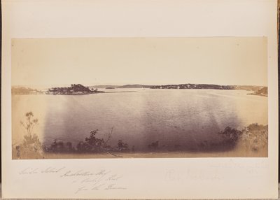 Garden Island, Rushcutters Bay, and Darling Point from the Domain by Unknown artist