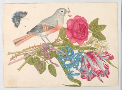 Grey and Coral Bird on Bouquet with Rose, Tulip, Daisies, and Forget-Me-Nots, with Butterfly by Unknown artist