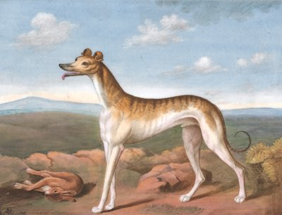 Greyhound: Facing Left, with a Dead Hare at His Feet by Unknown artist