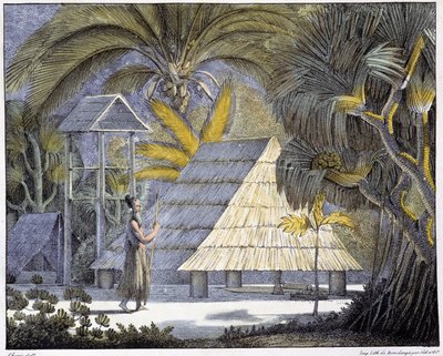 Habitat on the Radak Islands, Marshall Islands archipelago. 19th century engraving. by Unknown artist