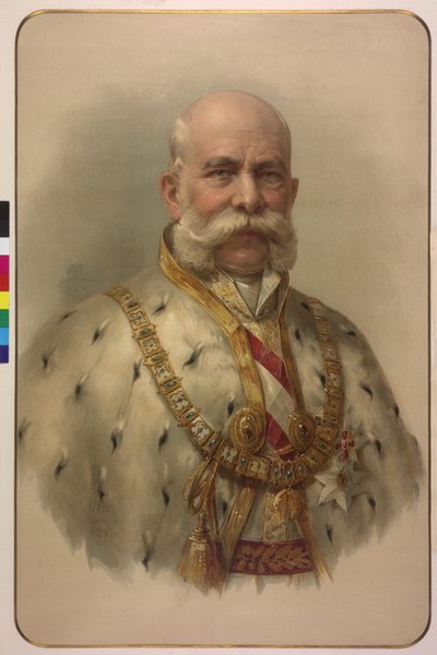 Half-Length Emperor Franz Joseph I in the Fleece Robe by Unknown artist