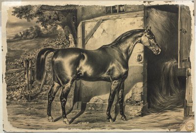 Horse in Front of a Barn (verso) by Unknown artist