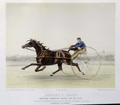 Horse riding: Shepherd F. Knapp, trotter - in 