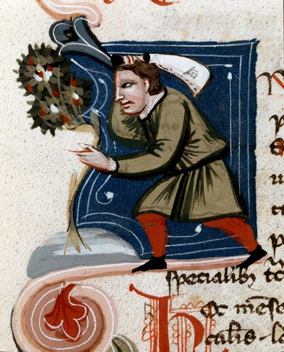 Potting a Tree (detail) by Unknown artist