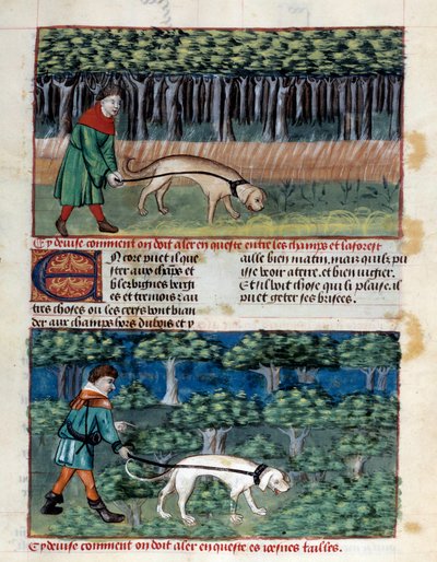 How to Conduct Dogs by Unknown artist