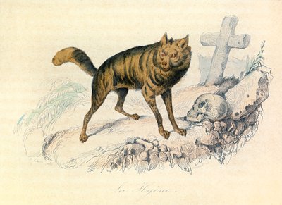 Illustration from the Book 