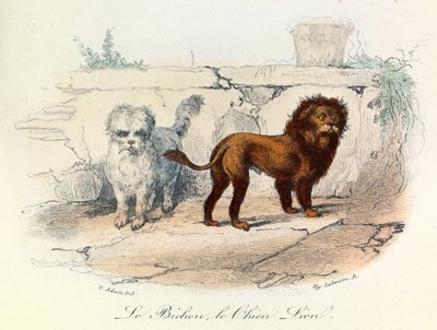 Illustration from the Book 