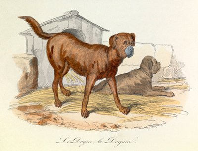 Illustration from the Book 