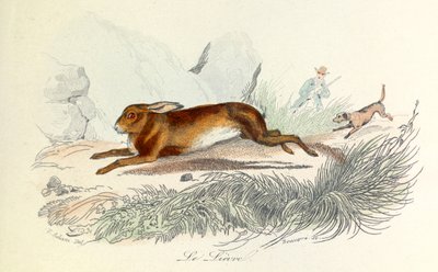 Illustration from the Book 