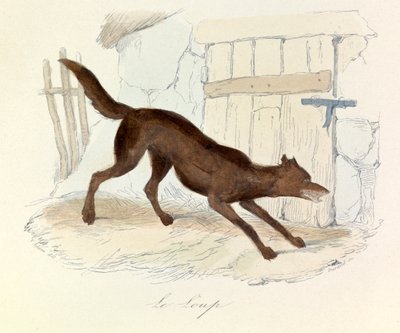 Illustration from the Book 