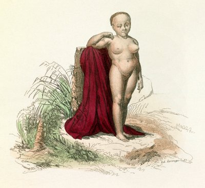 Illustration from the Book 