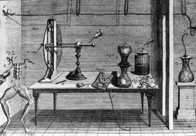 Illustration of experiments by Luigi Galvani, Italian physicist and physician (1737 - 1798) explaining the passage of electric current moving the legs of a frog. by Unknown artist