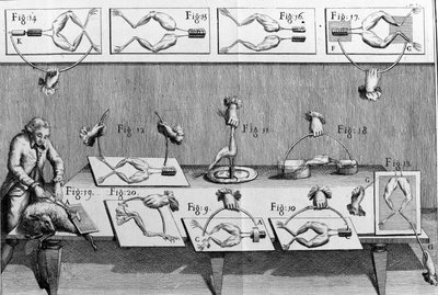 Illustration of experiments by Luigi Galvani, Italian physicist and physician (1737 - 1798) explaining the passage of electric current moving the legs of a frog. by Unknown artist