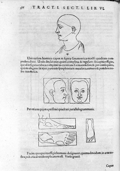 Image of Physiognomy from 