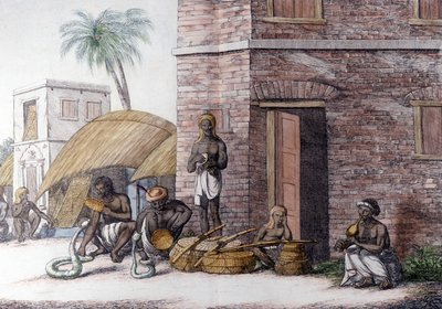 Indian Culture and Civilization: Snake Charmers in India by Unknown artist