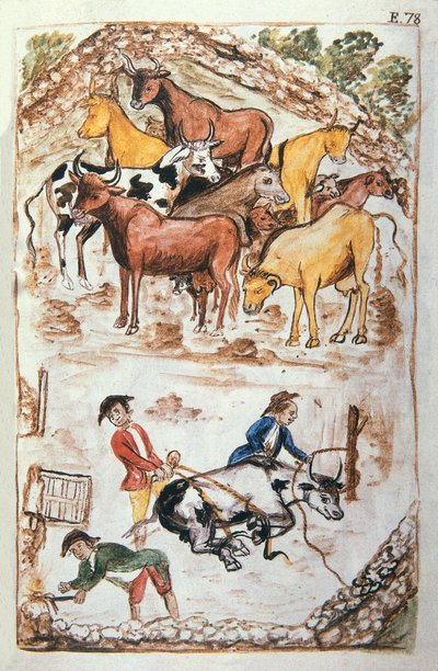 Indian Guardians of Cows, from the book "Trujillo del Peru" or "Códice Martínez Compañón" by Unknown artist