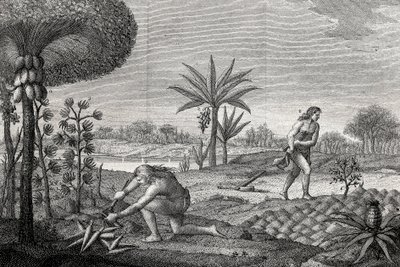 Indigenes Working the Land in the Orenoque Basin of Colombia. Engraving 1780 by Unknown artist
