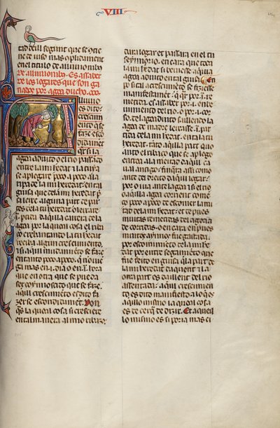 Initial A: Two Men Digging in a Field by Unknown artist