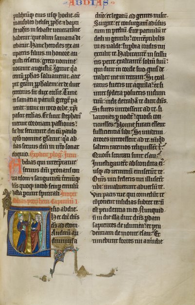 Initial V: Obadiah Speaking to the People of Edom by Unknown artist