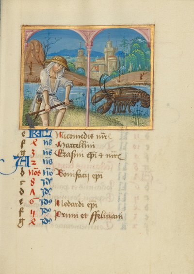 June Calendar Page; Mowing; Cancer by Unknown artist