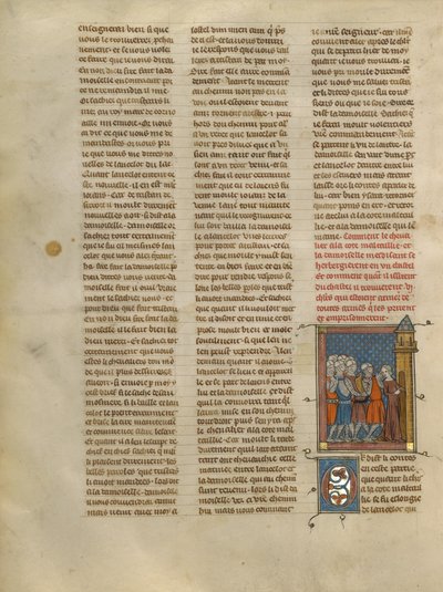Knight à la cote mal taillée and Mesdisant Imprisoned at Castle Uter by Unknown artist