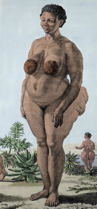 The Hottentot Venus, woman of breed Bochiman; engraving of 1815. by Unknown artist