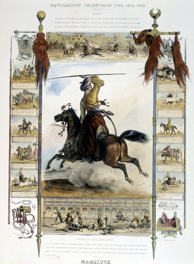 Mameluck (Eastern Horse Riding) - in 