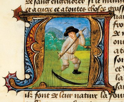 Medicine: a peasant mowing the wheat. Miniature taken from the Treatise on Medicine by Aldebrande de Florence by Unknown artist