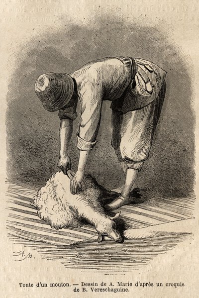 Mowing a sheep by a young Tatar man, in Schusha (Transcaucasia, Russia). Engraving to illustrate the voyage in the provinces of the Caucasus, by Basile Vereschaguine, in 1864-1865, published in 