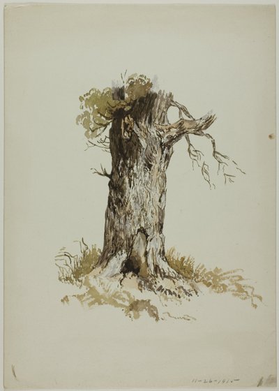Old Tree Trunk by Unknown artist