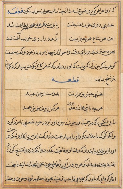 Page from Tales of a Parrot (Tuti-nama): text page by Unknown artist
