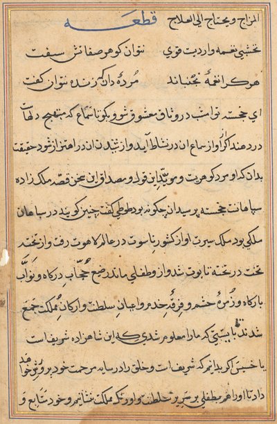 Page from Tales of a Parrot (Tuti-nama): text page by Unknown artist
