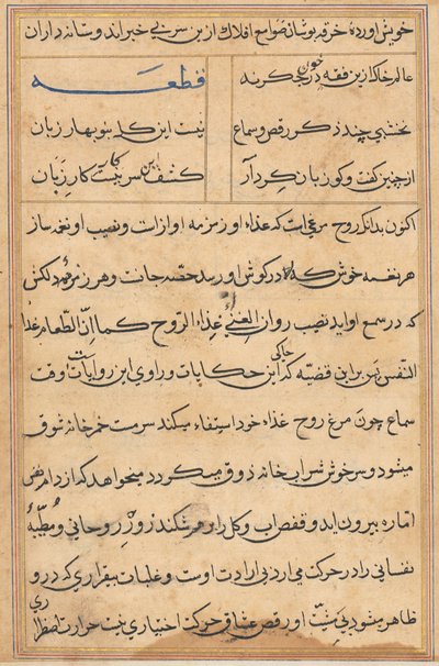 Page from Tales of a Parrot (Tuti-nama): text page by Unknown artist
