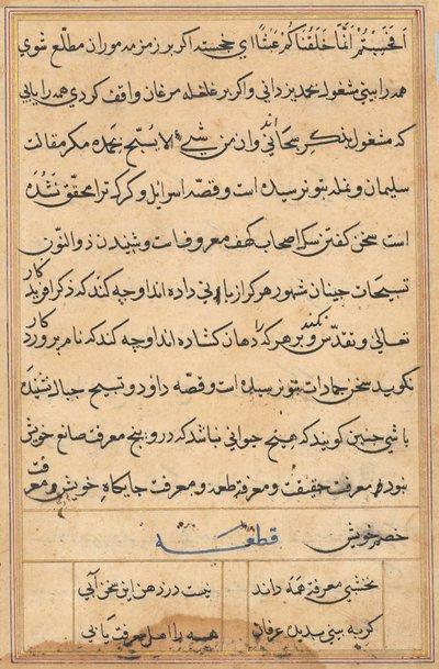 Page from Tales of a Parrot (Tuti-nama): text page by Unknown artist