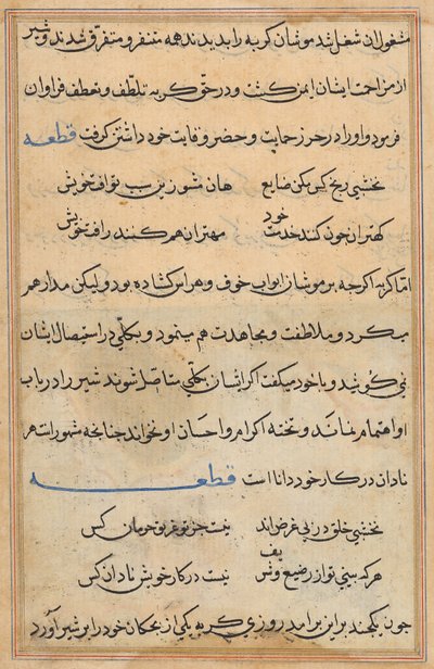 Page from Tales of a Parrot (Tuti-nama): text page by Unknown artist