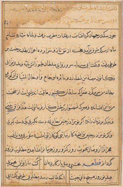 Page from Tales of a Parrot (Tuti-nama): text page by Unknown artist
