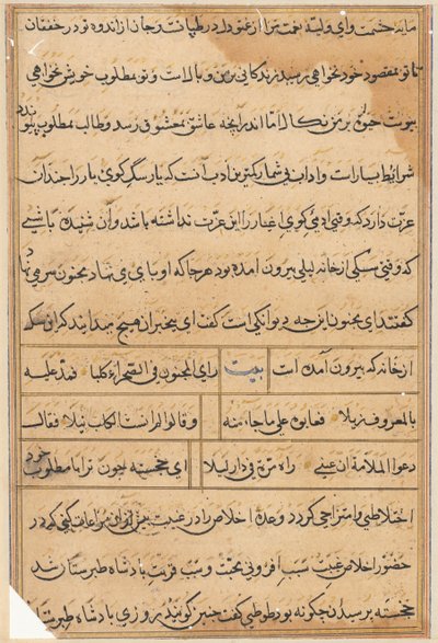 Page from Tales of a Parrot (Tuti-nama): text page by Unknown artist