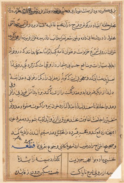Page from Tales of a Parrot (Tuti-nama): text page by Unknown artist