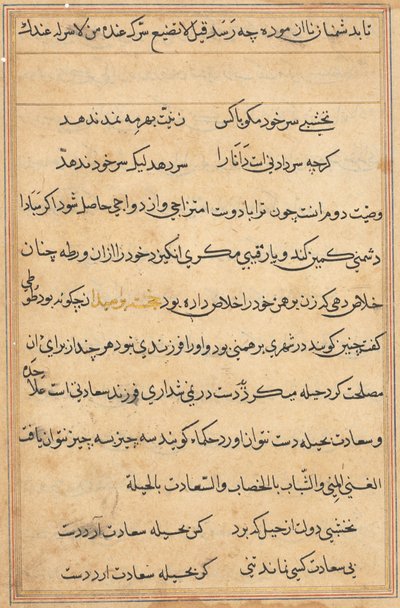 Page from Tales of a Parrot (Tuti-nama): text page by Unknown artist