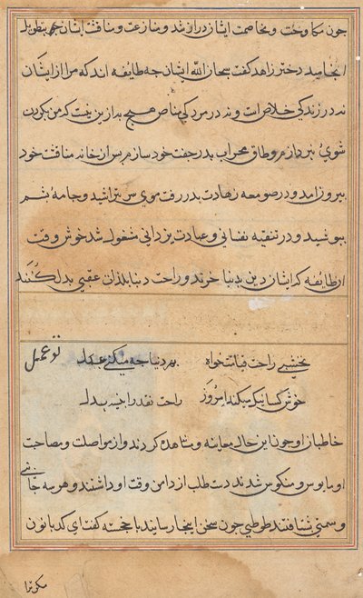 Page from Tales of a Parrot (Tuti-nama): text page by Unknown artist