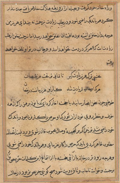 Page from Tales of a Parrot (Tuti-nama): text page by Unknown artist