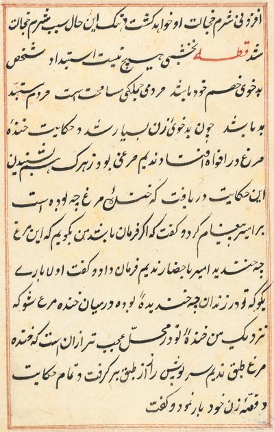 Page from Tales of a Parrot (Tuti-nama): text page by Unknown artist