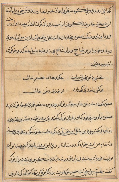 Page from Tales of a Parrot (Tuti-nama): text page by Unknown artist