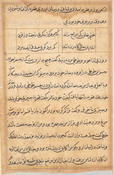 Page from Tales of a Parrot (Tuti-nama): text page by Unknown artist